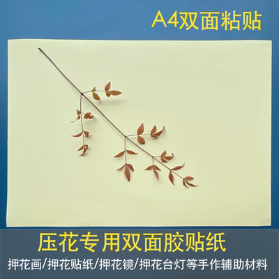 压花双面胶贴纸押花粘贴押花画书签植物手帐贴纸diy笔记本镜台灯
