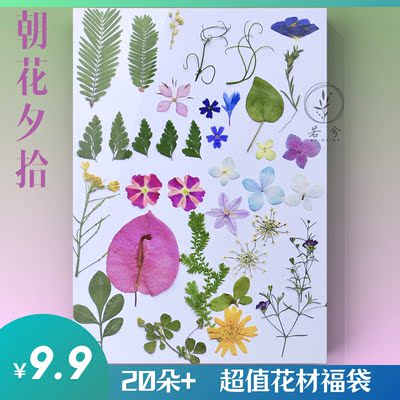 押花压花diy混合干花包植物标本diy滴胶摄影花草纸台灯亲子手工 若兮植物美学工作室 淘优券