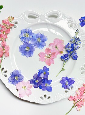 飞燕花千鸟花干花 压押花植物标本滴胶手机壳手工DIY书签白粉紫色