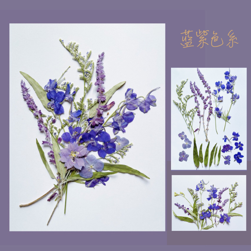 蓝紫色干花材料包 diy誓言卡滴胶压花押花标本画儿童手工真树叶-封面