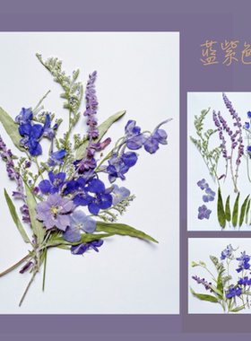 蓝紫色干花diy材料婚礼干花誓言卡压花相框押花标本画手工真树叶