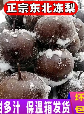 东北水果大果冻梨苹果梨冻秋梨大黑梨华盖梨特产冻梨丑梨8斤包邮