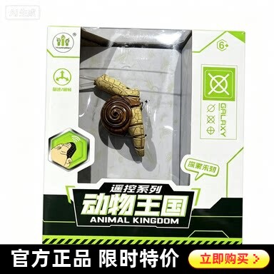 电动遥控大号昆虫整蛊玩具礼物