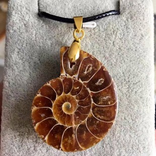 2026海螺化石切片 斑彩螺菊石吊坠挂件项坠珠宝首饰