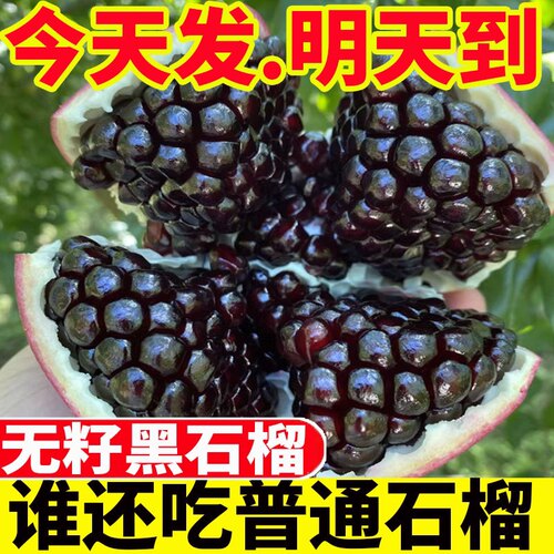 【黑石榴】突尼斯软籽石榴应季新鲜孕妇水果无籽大石榴10斤整箱