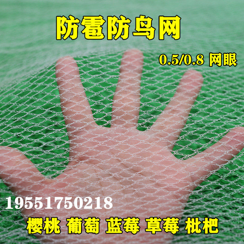 果树防雹网樱桃葡萄蓝莓草莓园防冰雹用的网果园防雹网果树防雹网