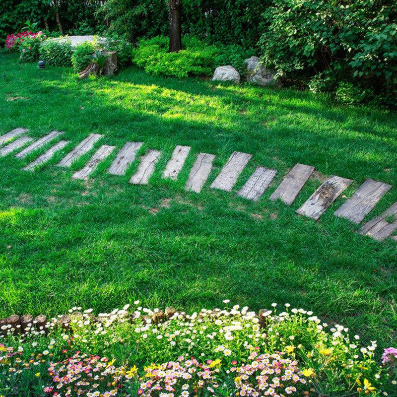 进口果岭草草皮种子草坪草籽四季种籽庭院别墅小区绿化护坡耐踩