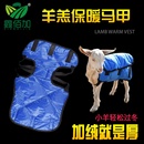 新生羔羊保暖衣小羊穿 衣服羊羔防风保暖马甲防寒护肚子羊保暖服