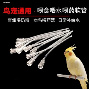 鸽子虎皮玄凤鹦鹉雏鸟幼鸟软管喂食器小鸟喂奶器喂药工具流食针管