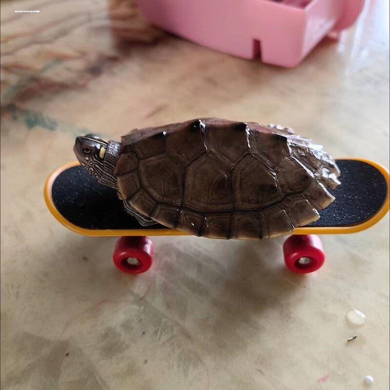 乌龟专用滑板车玩具快速滑行车指尖滑板迷你大小号玩具车搞笑创意