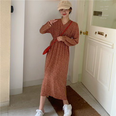 Real price early spring long sleeve V-neck dress