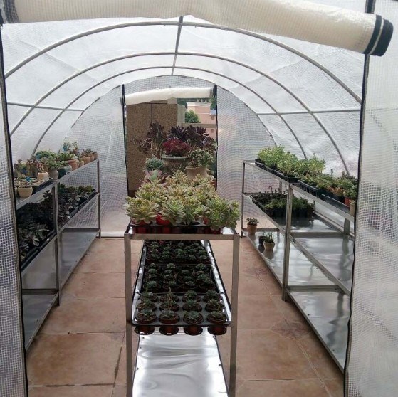 暖房花卉多肉棚西红种菜小花防冻家用种植架过冬温室花房花草大棚|ruв категории доставка цветов/цветок моделирования/растения садоводства, садовых принадлежностей, других садовых принадлежностей - от Buy2taobao.com для оказания профессиональной услуги покупки агента Taobao