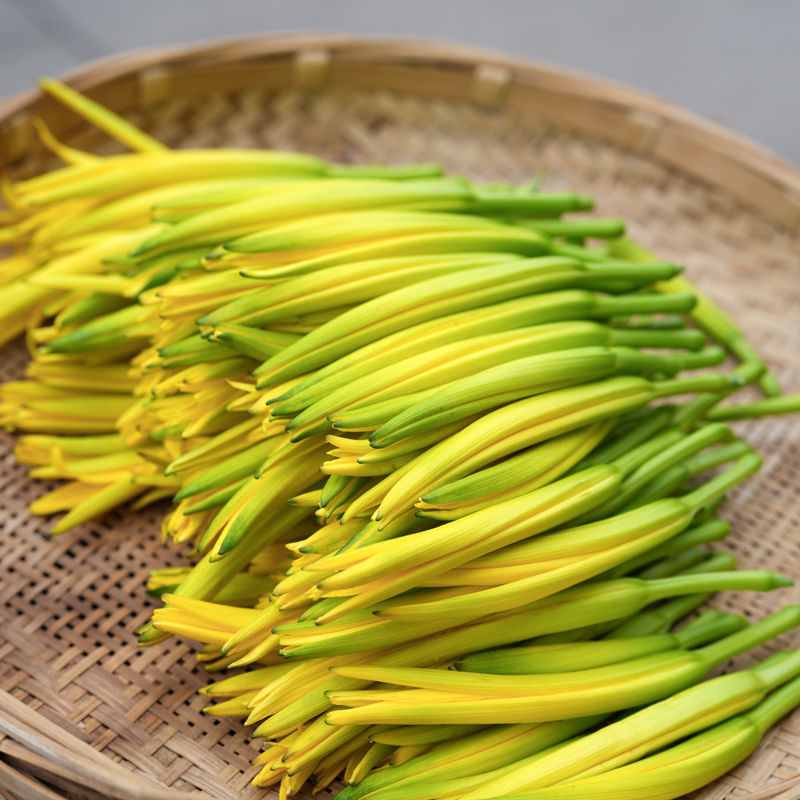 新鲜黄花菜现摘现发野生金针菜农家野菜时令蔬菜凉拌菜酒店特色菜