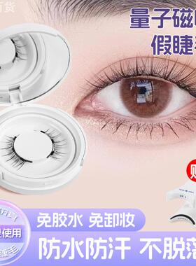 量子磁吸假睫毛女小恶魔太阳花自然仿真软眼睫毛整条重复使用免胶