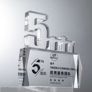 定制高档大气510周年创意奖牌