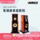 AVANCE K35丹麦皇冠音响音箱K35君王系列家庭影院5.1套装 发烧级