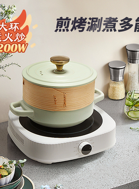 诺洁仕电陶炉电磁炉小型煮茶家用围炉新款电池炉光波炉台式爆炒