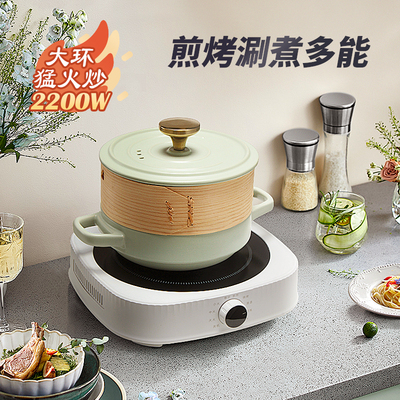 诺洁仕电陶炉电磁炉小型煮茶家用围炉新款电池炉光波炉台式爆炒