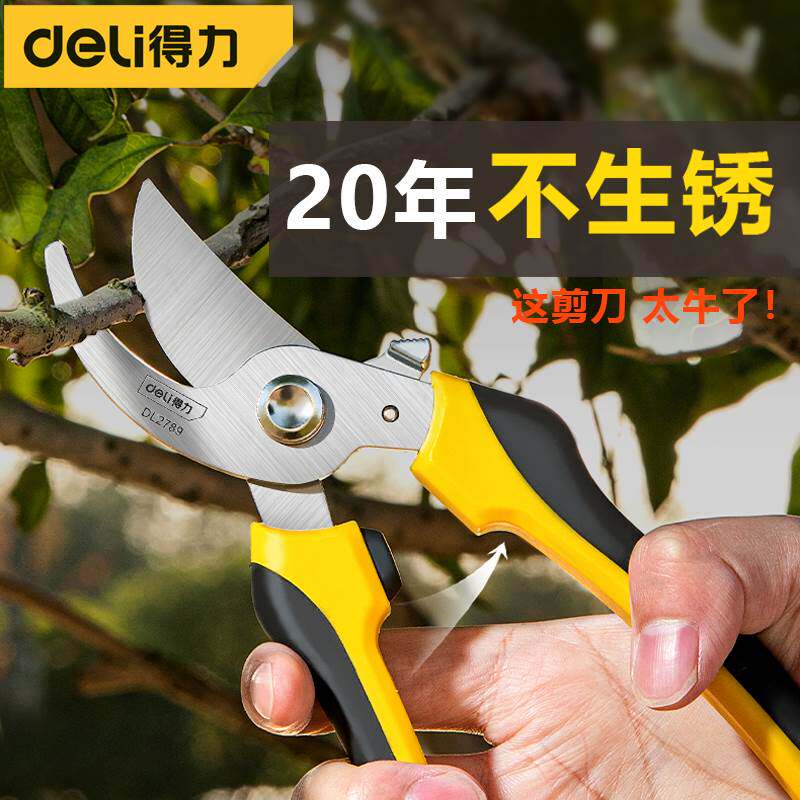 得力园艺剪刀修剪树枝果树花艺树木修枝剪专用省力不生锈园林粗枝