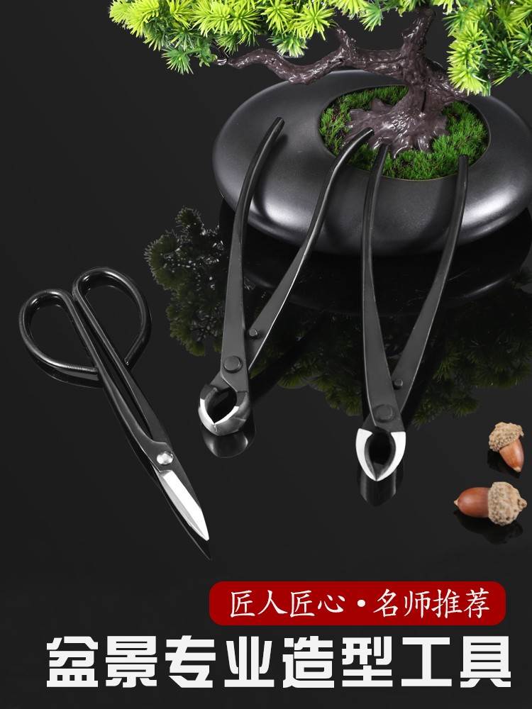 球节剪盆景修剪造型专用工具套装叶芽球形球型斜球剪刀盆栽修枝钳
