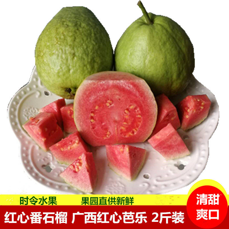 番石榴 红心芭乐 广西新鲜水果 果园直供优选发货 新鲜清甜 2斤装|msdalam kategori daging perikanan/Buah-buahan segar dan sayur-sayuran/dimasak, buah-buahan segar, jambu batu - dari Buy2taobao.com untuk memberikan perkhidmatan ejen Taobao profesional membeli