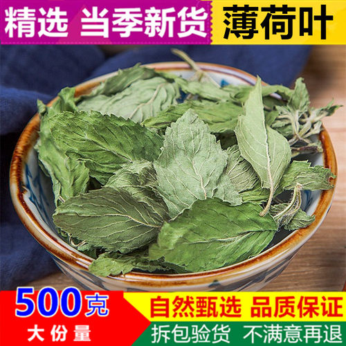正品薄荷叶500g克包邮新货薄荷