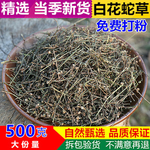 费中药材新货白花蛇草百花蛇舌草白花蛇草 免邮 白花蛇草500g克 新鲜