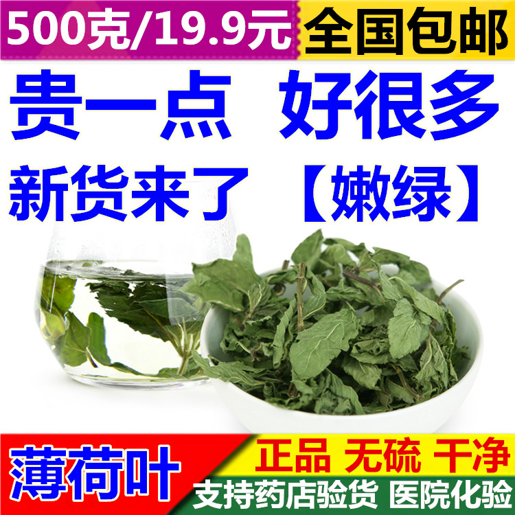 包邮克500薄荷叶粉新鲜薄荷茶干薄荷叶新货薄荷叶薄荷叶茶
