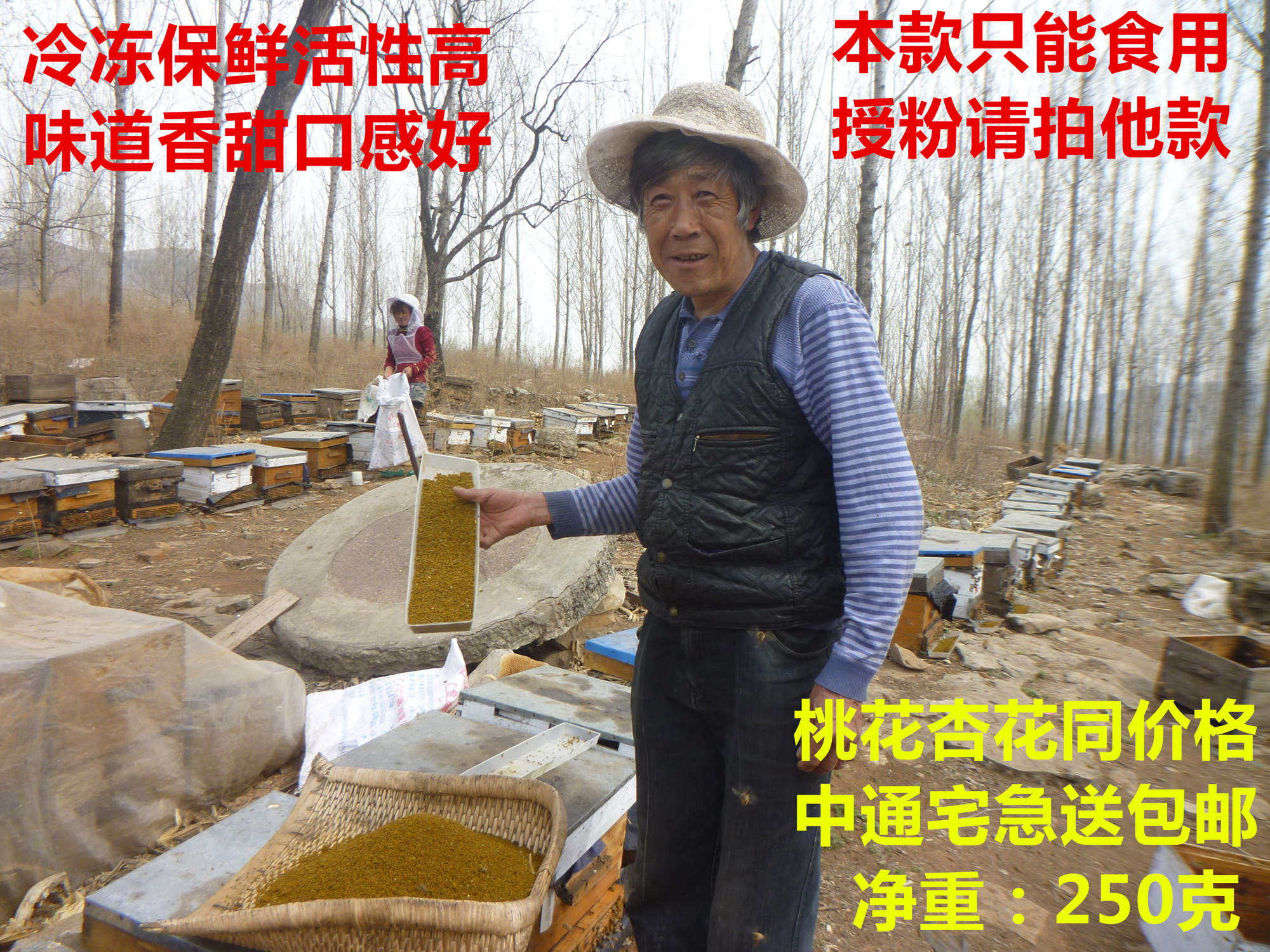 食用专款冷冻保鲜桃花 杏花花粉 口感香甜活性高刘长坤蜂场 250克