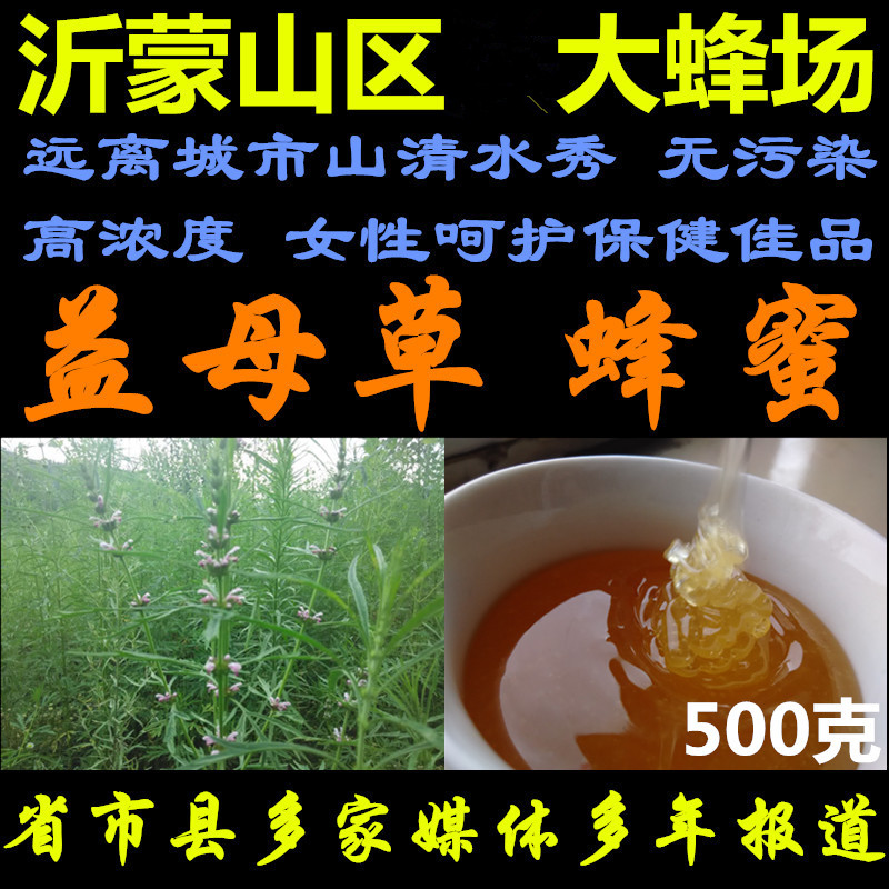 益母草蜂蜜天然沂蒙刘长坤30年500箱蜂场自产岱崮百花超42波美度