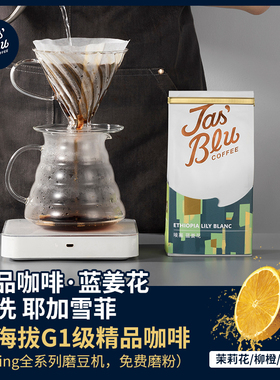 手冲比赛指定用豆王力咖啡/jasbleu埃塞俄比亚蓝姜花耶加雪菲250g