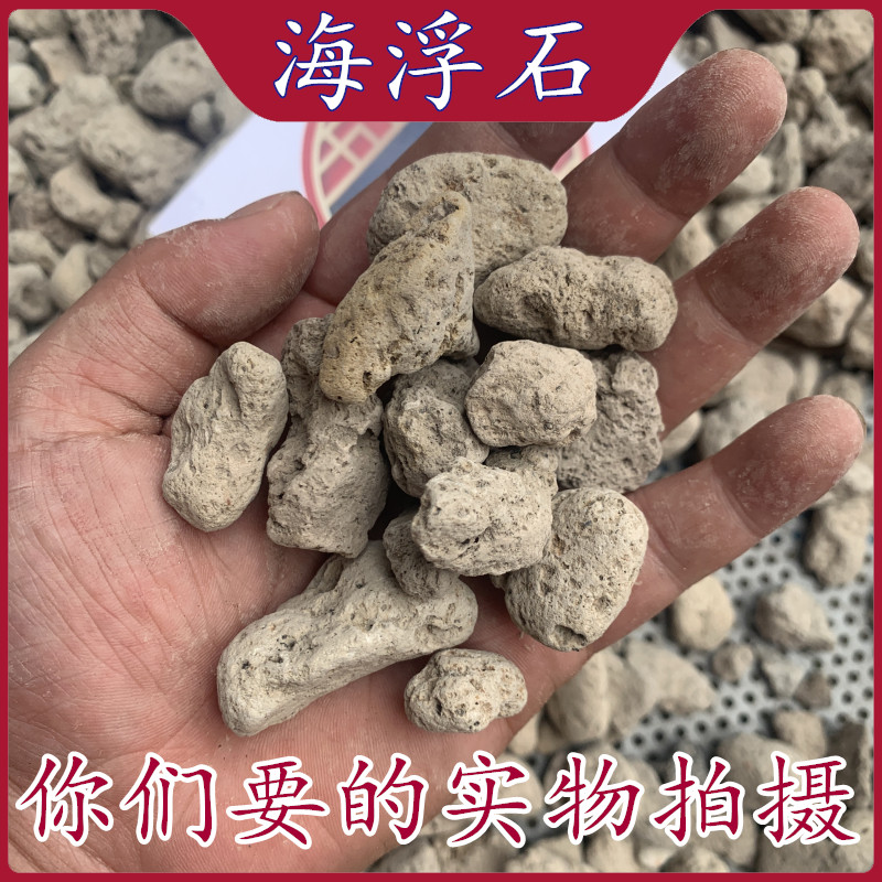 海浮石中药材批 发海浮石精选 可磨海浮石粉 水花石正品新货