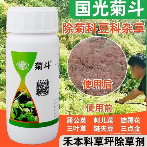 国光菊斗草坪除草剂菊科豆科杂草