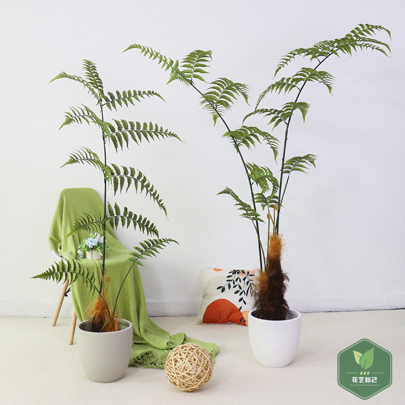 仿真蕨类植物景观树堆积造景绿植