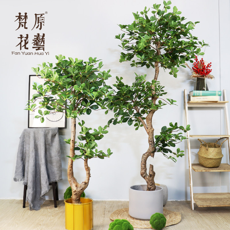 梵原仿真榕树北欧风景观摆件植物