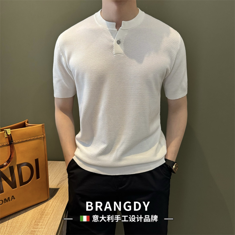 Brangdy意大利100%兰精天丝夏季短袖男针织衫菠萝纹亨利领体恤衫