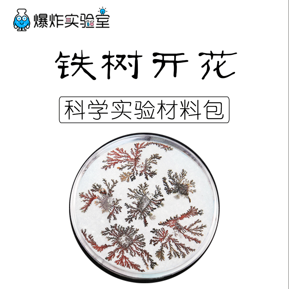 化学实验器材铁树开花科技小制作