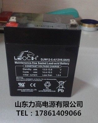 可代替应急蓄电池