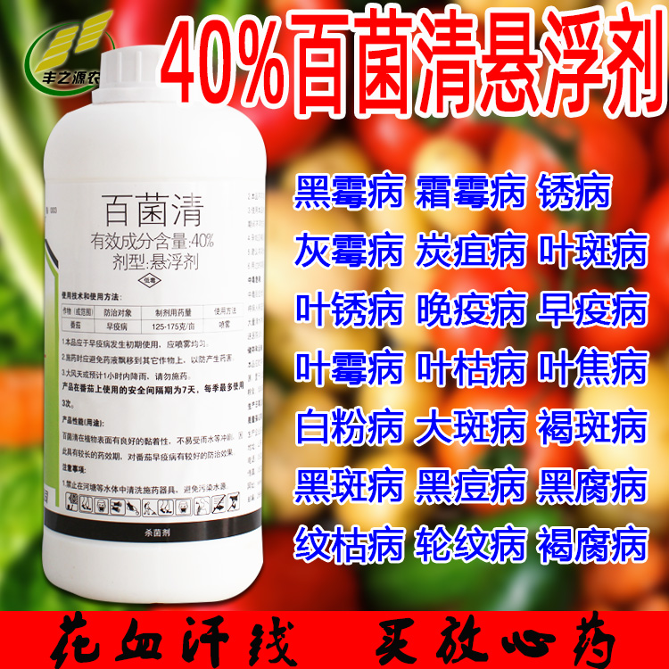 40%百菌清 白粉霜霉病叶斑叶锈病百菌灵农药花卉多肉植物灭菌通用