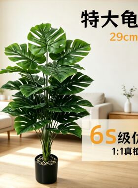 仿真龟背竹大型落地盆栽客厅办公