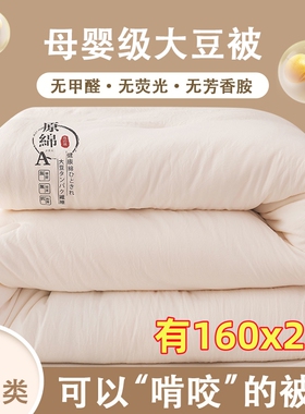 A类大豆纤维冬被加厚保暖春秋被芯夏被160x210cm单双人1米6乘2.1