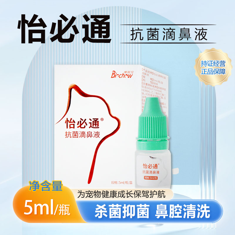 猫咪鼻部清洁鼻部护理