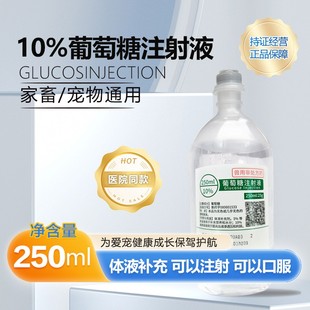 10%葡萄糖注射液宠物专用小动物犬猫输液营养补充能量体液狗狗用