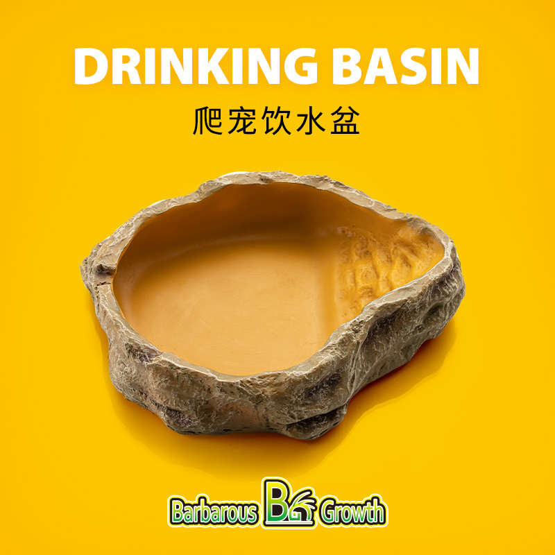 爬宠食盆水盆角蛙陆龟蛇用泡澡盆宠物鬃狮蜥蜴绿鬣守宫树脂造景