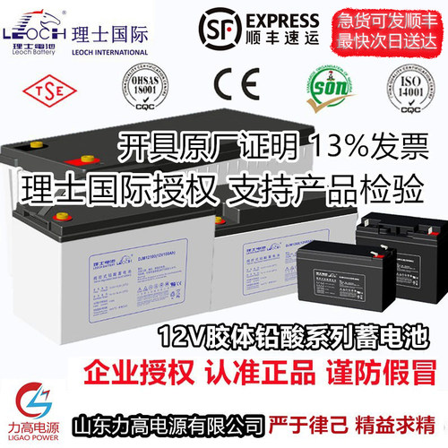 【官方授权店】LEOCH/理士蓄电瓶
