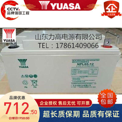 汤浅YUASA蓄电池NPL65-12/12V65AH超长寿命直流屏UPS免维护蓄电池