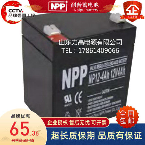 铅酸免维护照明卷帘门蓄电池