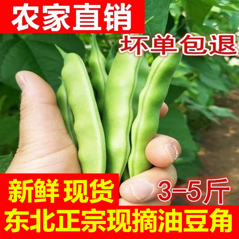 2024年东北新鲜绿油豆角小油豆角黄金勾豆角一点红大宽油豆角 水产肉类/新鲜蔬果/熟食 新鲜豆类 原图主图