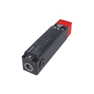 FG 60GD1D0Z-F21 PIZZATO安全开关FG 60GD1D0Z