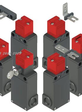 FS0696D024 FS2096D024 FS2196D024